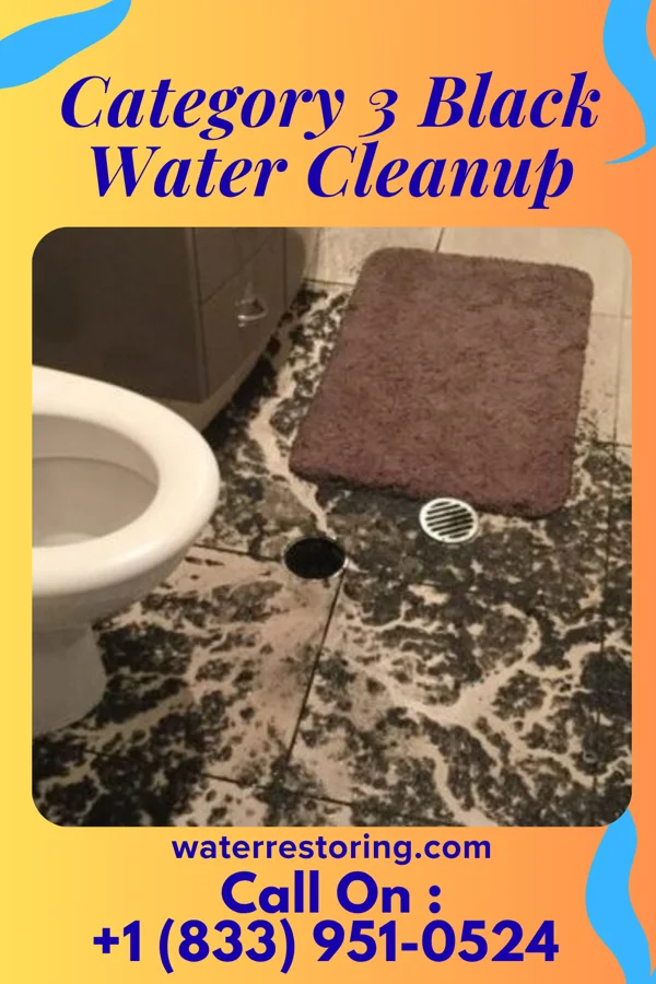Category 3 Black Water Cleanup in Gilt Edge, TN